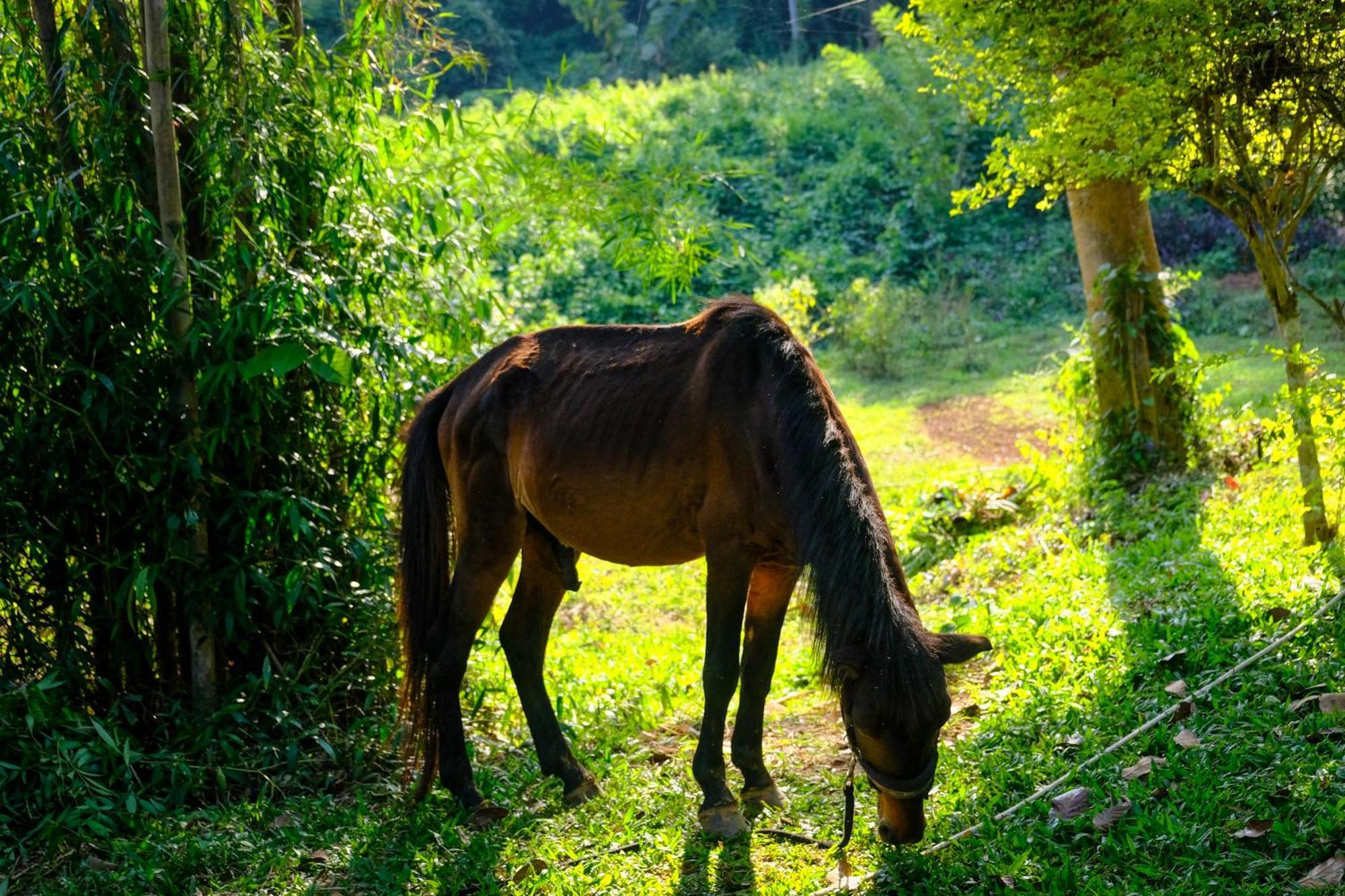 Hillside - Nature Lifestyle Lodge Luang Prabang Luaran gambar